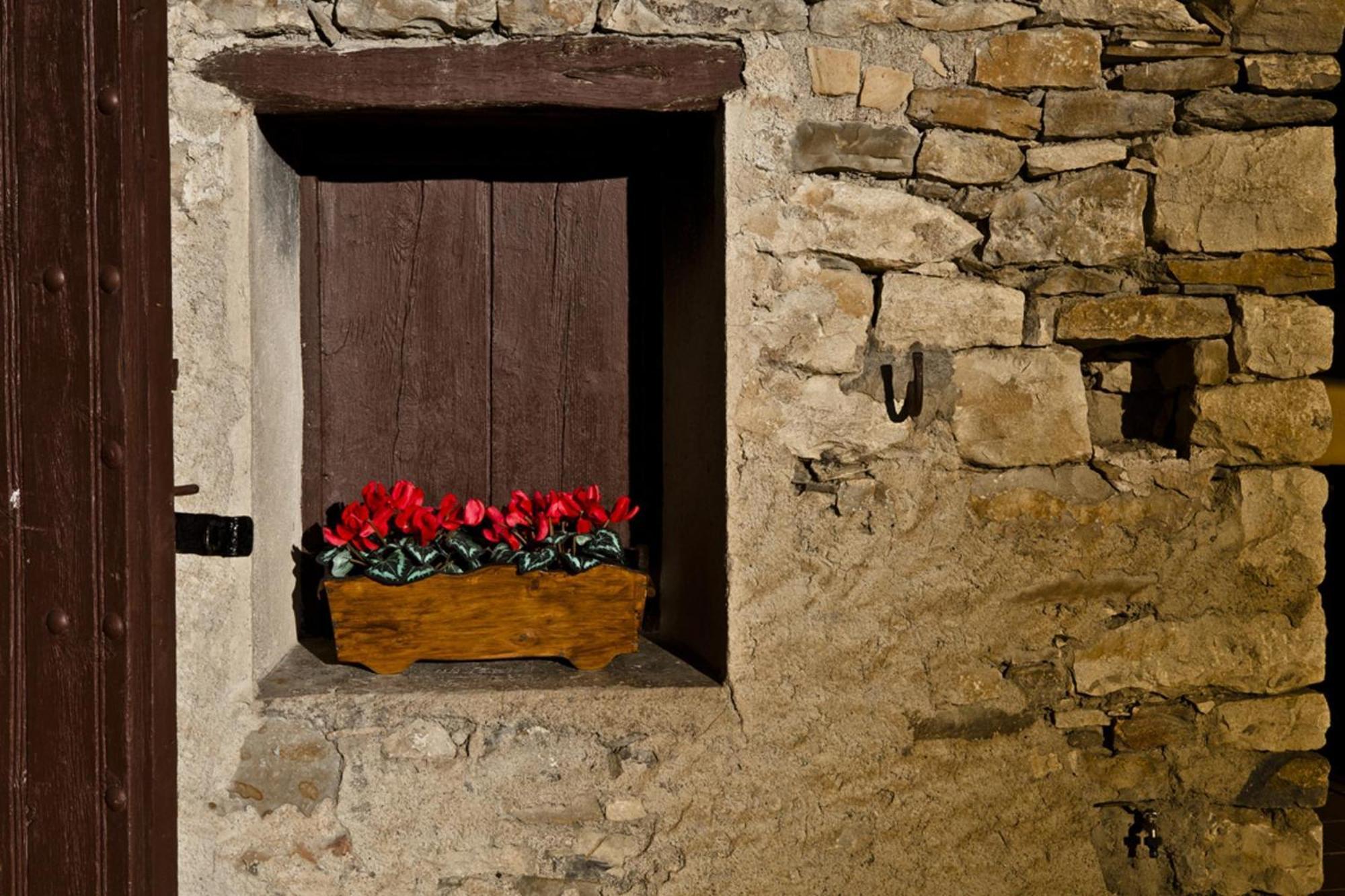 Conjunt Rural Cal Soldat Collmorter Bagian luar foto